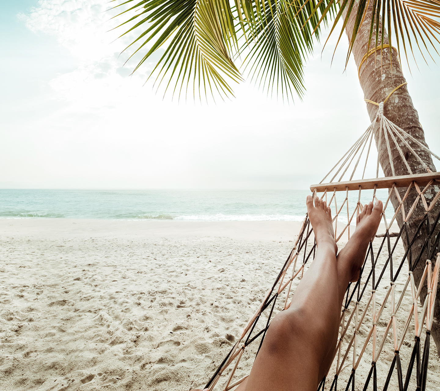Person sitting in hammock swinging from palm tree